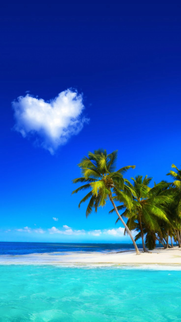 индивидуалка проститутка Ярославля